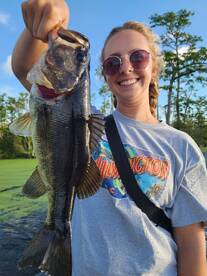 Outer Banks Bass Fishing 