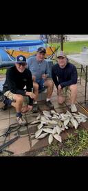 Fishing again  