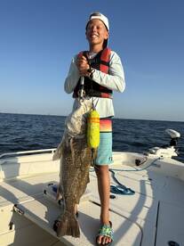 Dauphin Island Report Photo 1