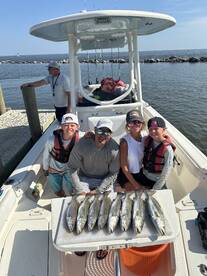 Dauphin Island Report Photo 2