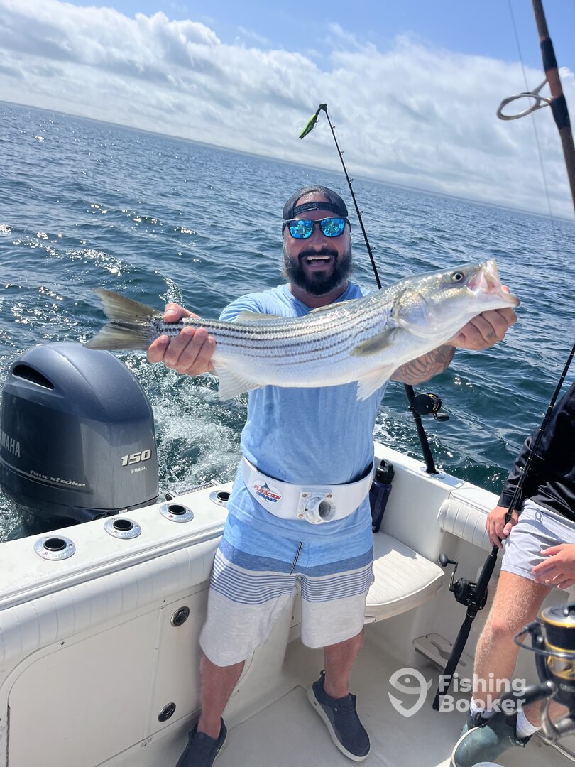 Cape Cod Report Photo 0