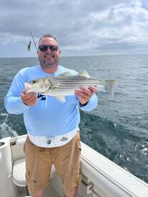 Cape Cod Report Photo 1
