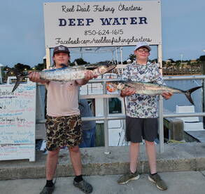 Florida Report Photo 1