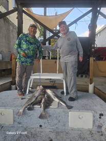 Port Isabel Report Photo 1