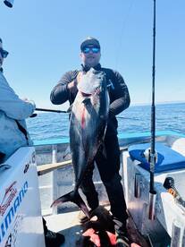 Baja California Report Photo 1