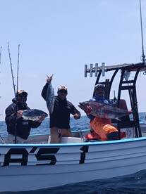 Maneadero Report Photo 1