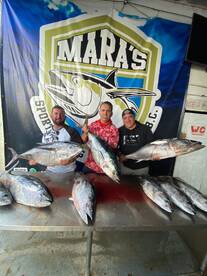 Maneadero Report Photo 1