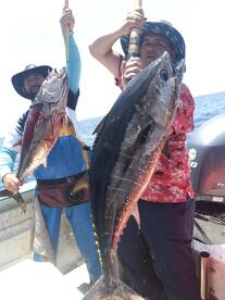 Baja California Report Photo 2