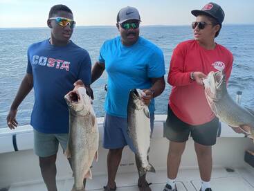 Lake Michigan Dinosaurs 