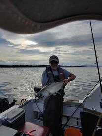 British Columbia Report Photo 2