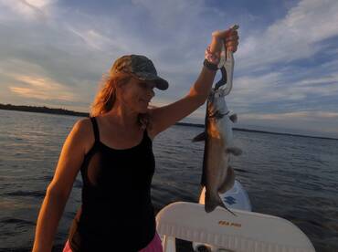 Fleming Island Report Photo 2