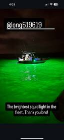 Point Loma Report Photo 1