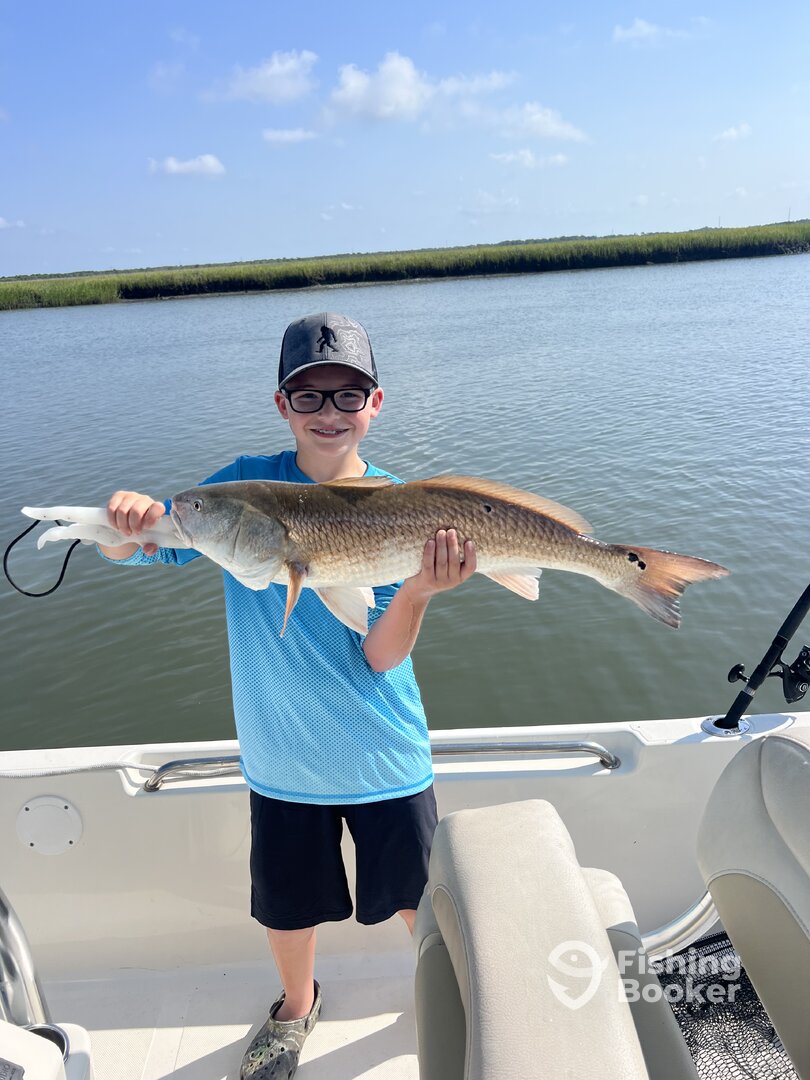 Mount Pleasant Report Photo 0