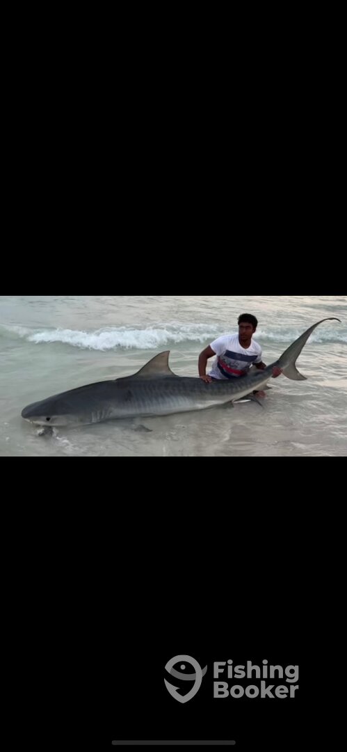 Destin Report Photo 0