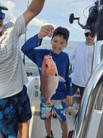 Gulf Shores Report Photo 2