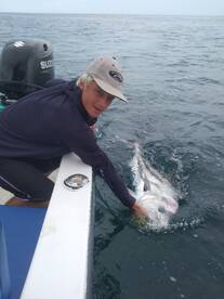 San Jose del Cabo Report Photo 2
