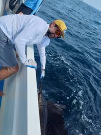 Quepos Report Photo 1