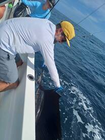 Quepos Report Photo 2