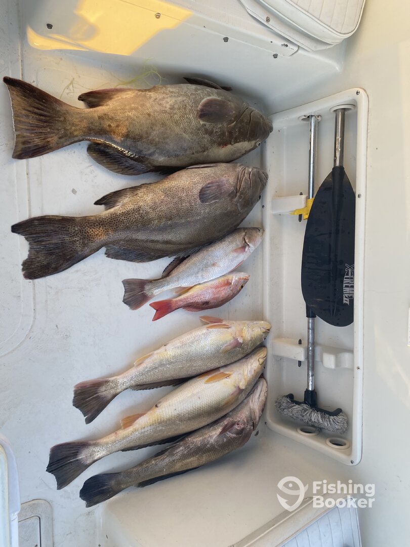 Puerto Peñasco Report Photo 0