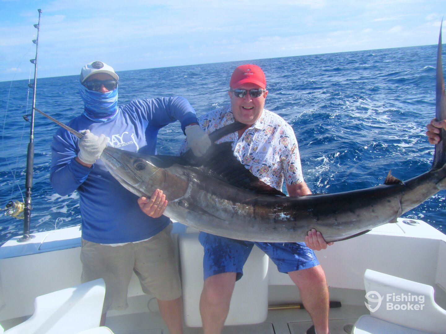 Cabo San Lucas Report Photo 0