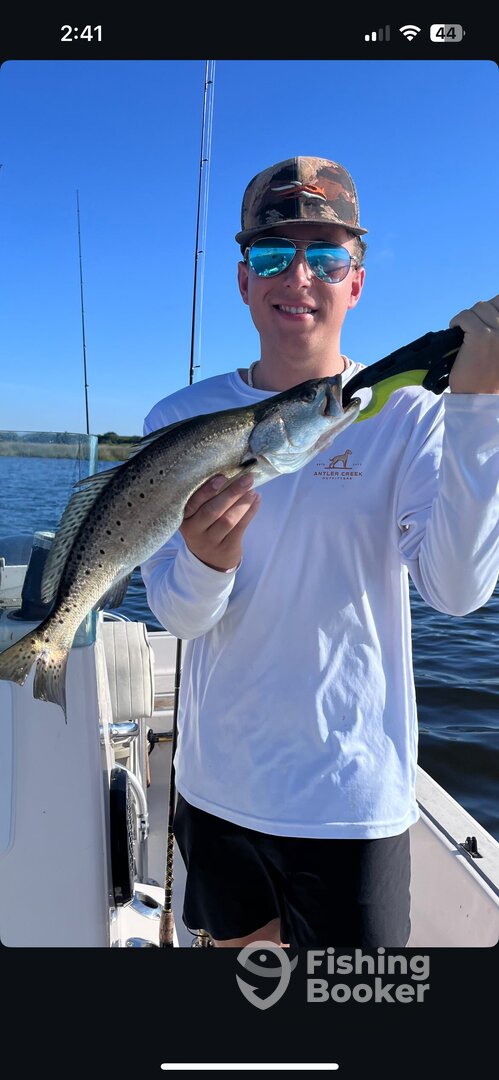 Jacksonville Report Photo 0