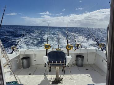 Le Morne Report Photo 1