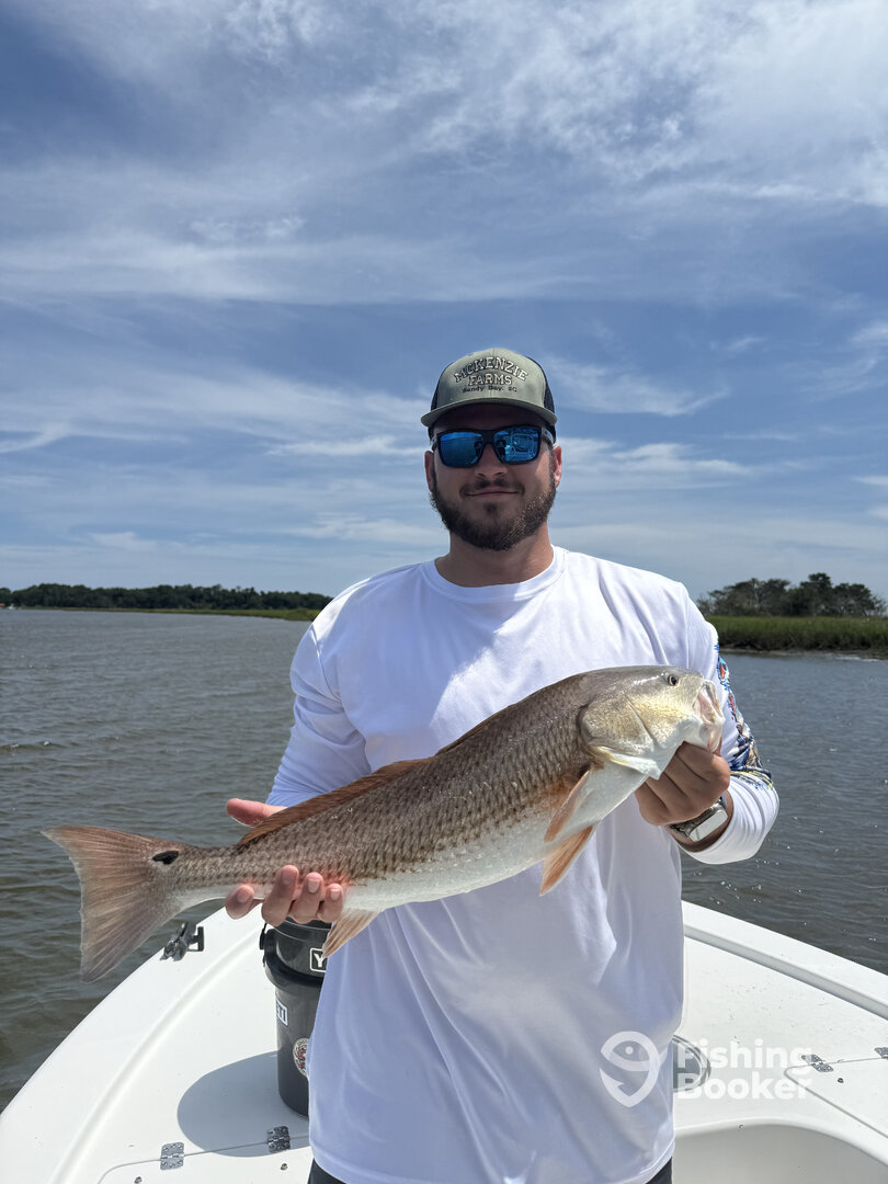 Edisto Beach Report Photo 0