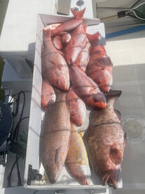 Gulf Breeze Report Photo 2