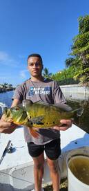 Florida Report Photo 1