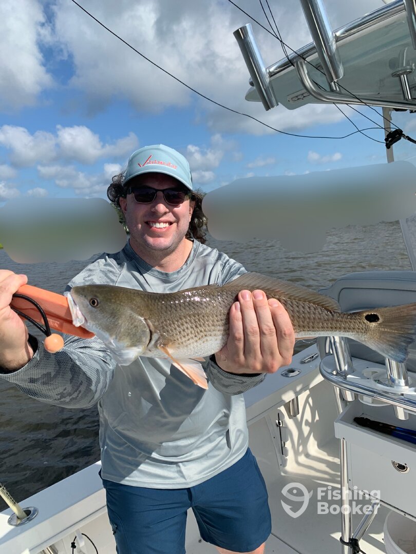 Wilmington Report Photo 0