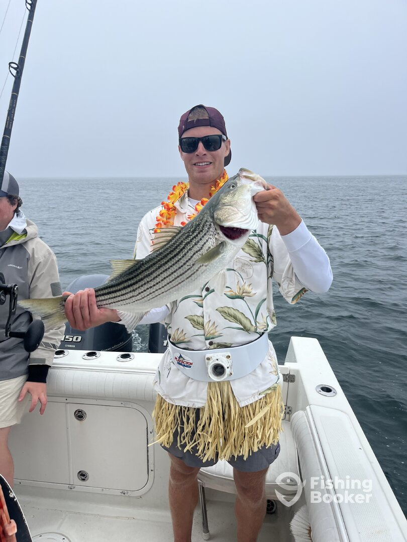 Cape Cod Report Photo 0