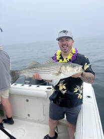 Cape Cod Report Photo 1