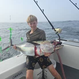 Tuna are in!