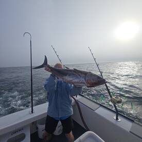 Narragansett Report Photo 2