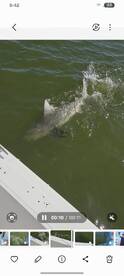 Collier County Report Photo 4