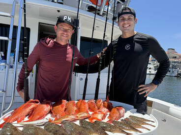 Catalina Island Report Photo 2