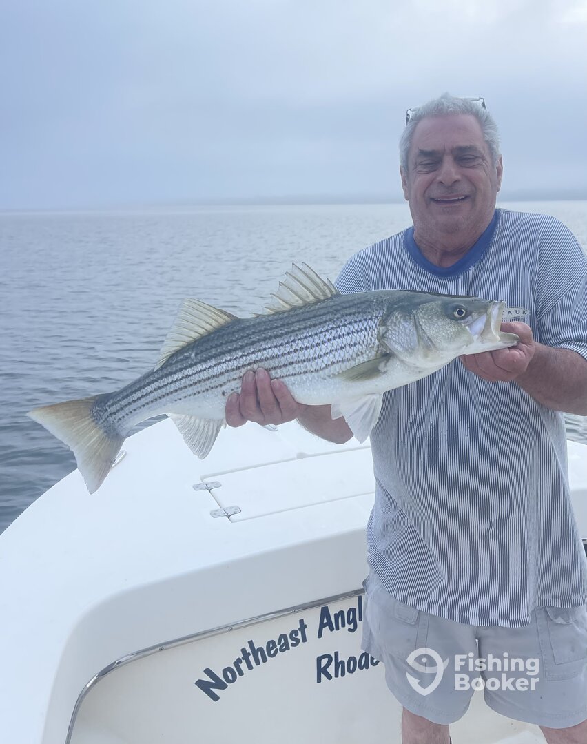 Narragansett Report Photo 0
