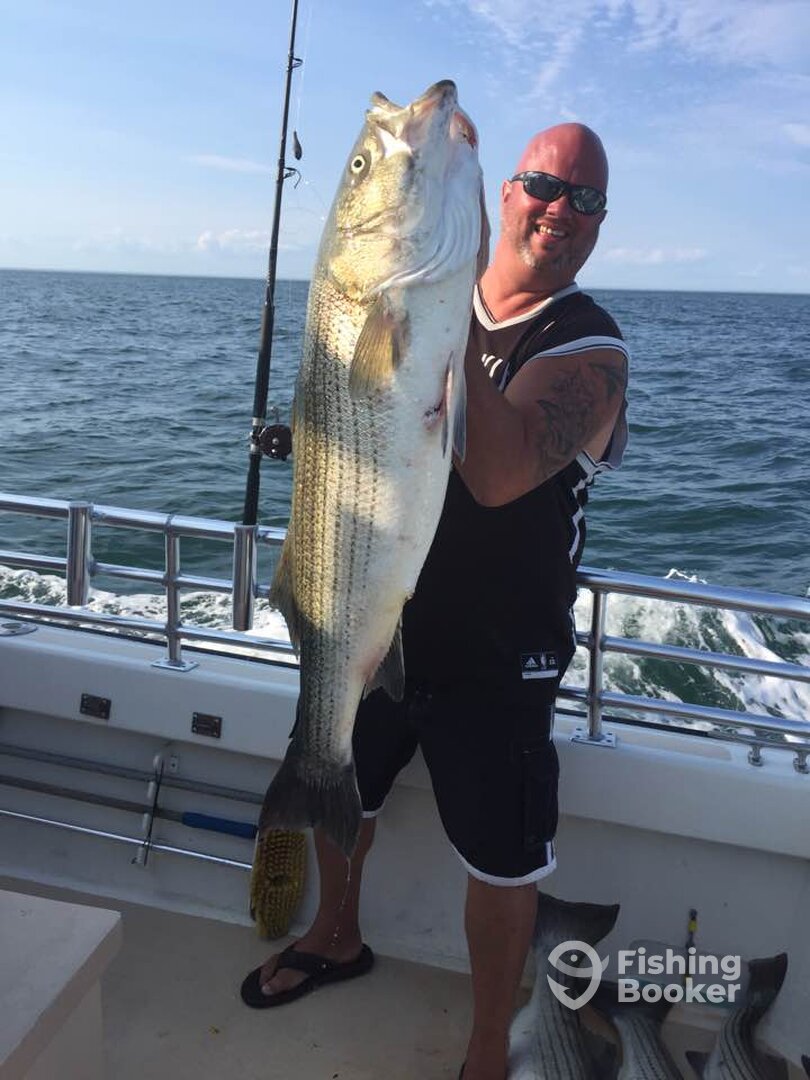 Montauk Report Photo 0