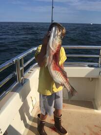 Montauk Report Photo 2