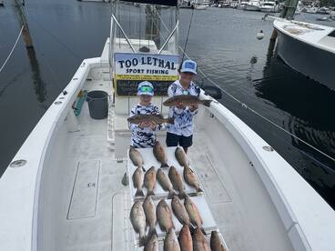 Grey snapper bonanza 