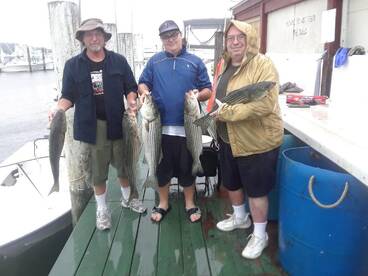 Here fishy-fishy-fishy....