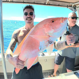 Donkey of a Nannygai!