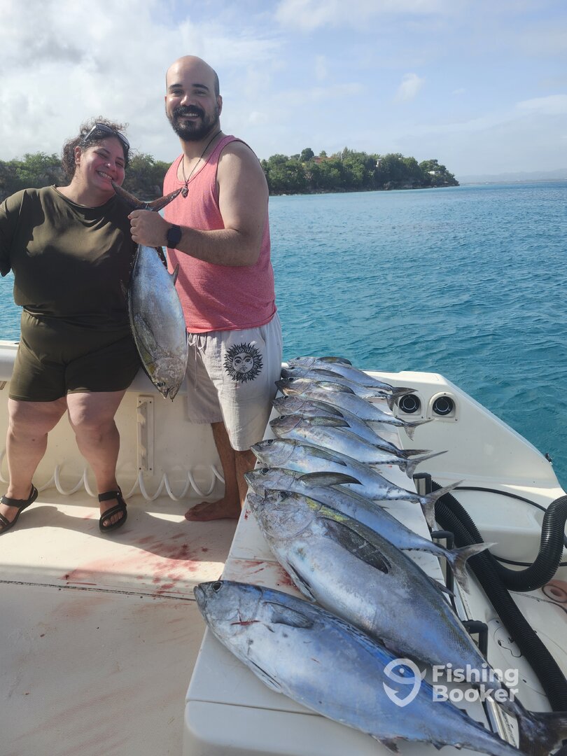 Aguadilla Report Photo 0