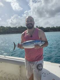 Aguadilla Report Photo 2