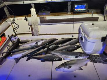 St. Joseph Report Photo 1