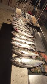 Fishing remains amazing! 