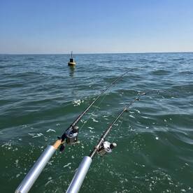 Solo Lake Erie Islands Walleye 