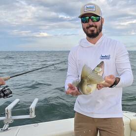 Dlorida to Lake Erie Walleye Action 