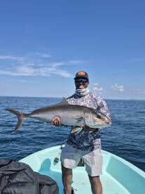Amberjacks and Snappers