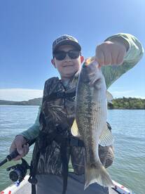 Branson Report Photo 1